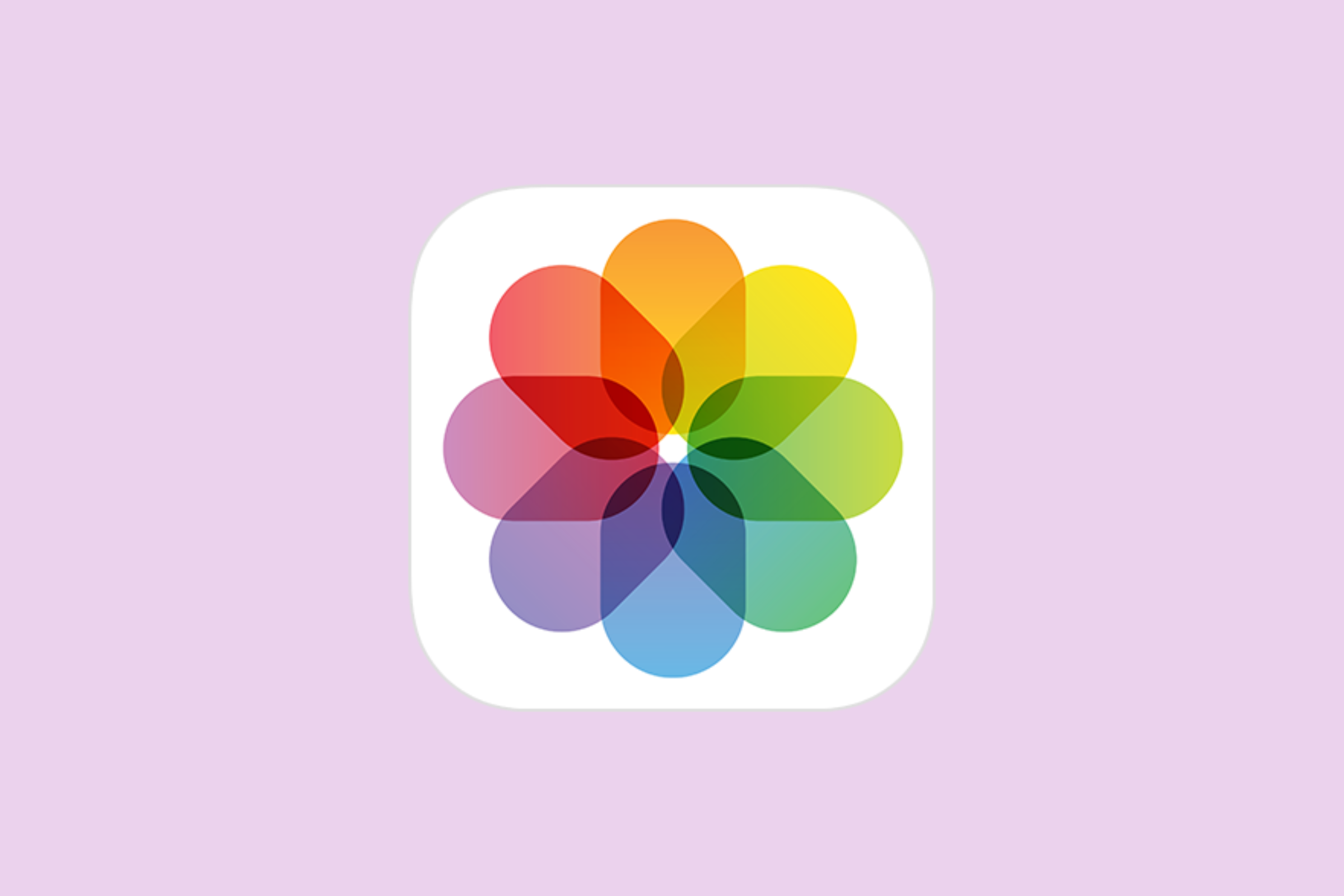 Anleitung: Wie Du auf dem iPhone ungewollte Objekte aus Fotos entfernst