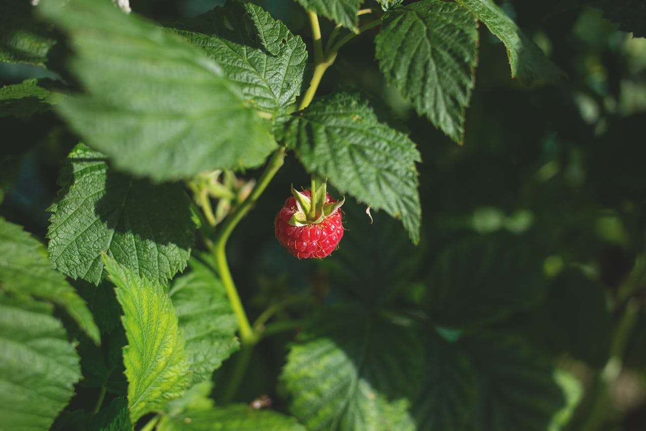 DigitalOcean Droplets mit doctl auf einem Raspberry Pi Zero steuern und automatisieren